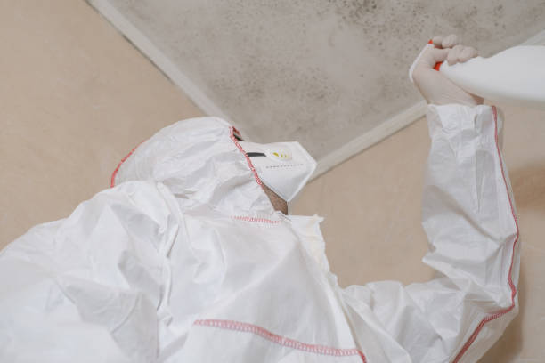 Best Office Mold Removal Services  in Clayco, MO