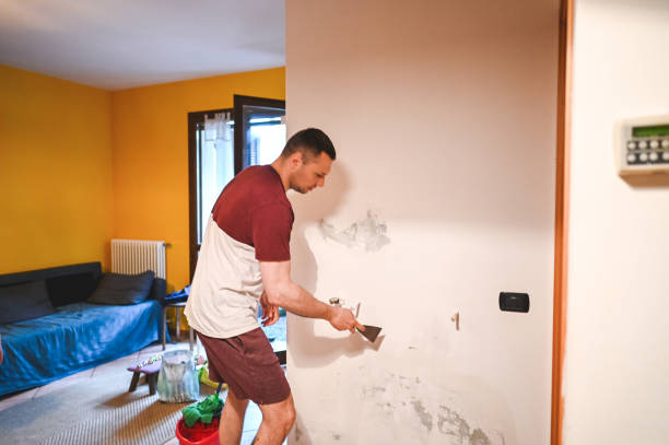 Best Fast Mold Removal  in Clayco, MO